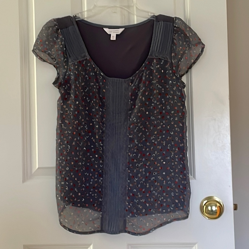 Gray lady bug top